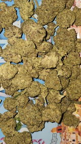That o.b.g. review photo