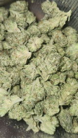 That o.b.g. review photo