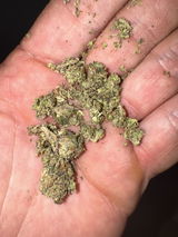 Anonymous review photo