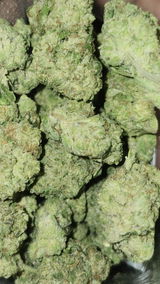 That o.b.g. review photo