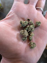 B.C. review photo