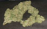 Chainsaw R. review photo