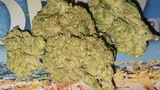 That o.b.g. review photo