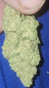 That o.b.g. review photo