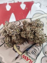 Joseph D. review photo