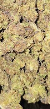 Aaron C. review photo