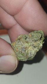 That o.b.g. review photo