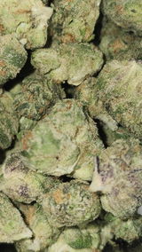 That o.b.g. review photo