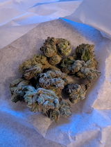 Chronic B. review photo