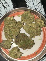 L.T. review photo