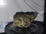 Ryan P. review photo