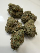 Rv review photo