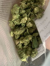 DAMION P. review photo