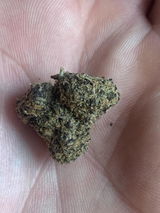 DAMION P. review photo