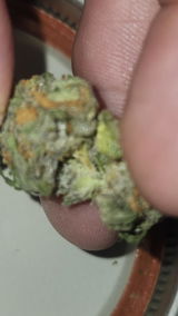 That o.b.g. review photo