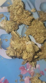 That o.b.g. review photo