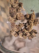 Mr.Dank review photo