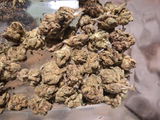 Mr.Dank review photo