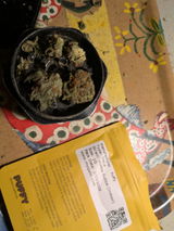 Brad C. review photo
