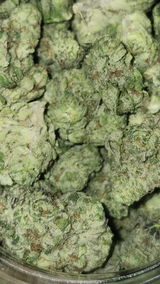 That o.b.g. review photo