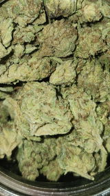 That o.b.g. review photo