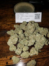 Massivefacts review photo