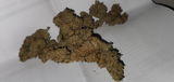 N. review photo