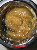 N. review photo
