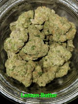 N. review photo