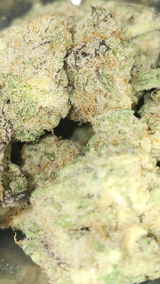 That o.b.g. review photo