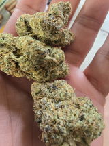 Anibal S. review photo