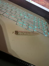 Anonymous review photo