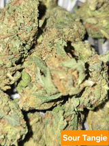 DaBlunt review photo