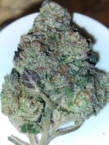 D review photo