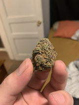 Bobby P. review photo