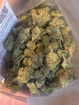 DAMION P. review photo