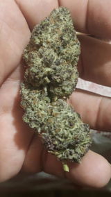 That o.b.g. review photo