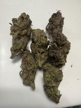 Rv review photo