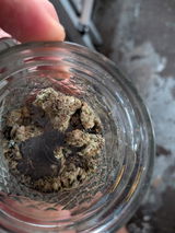 B.C. review photo