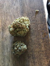 Anonymous review photo
