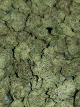 Mr.Dank review photo
