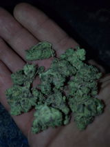Anonymous review photo