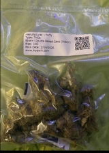 T.o.b.g. review photo