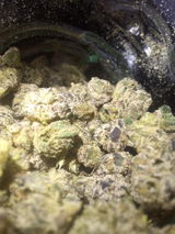 Mr.Dank review photo