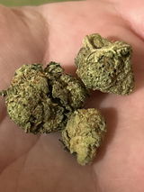 JP review photo