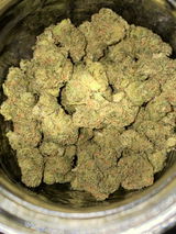 L.T. review photo