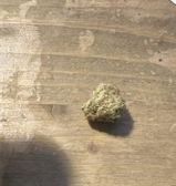 Dogsusej review photo