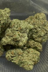 Mackenzie review photo
