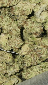 That o.b.g. review photo