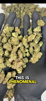 That o.b.g. review photo